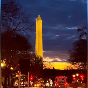 Meet your Posher, Poppy